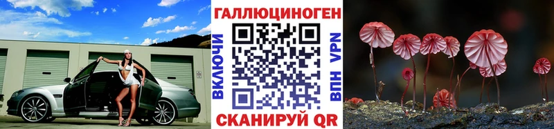 Псилоцибиновые грибы мухоморы Вяземский